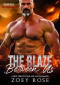 The Blaze Between Us (Cedar Falls: Fire Department #5)