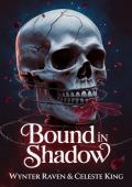 Bound In Shadow