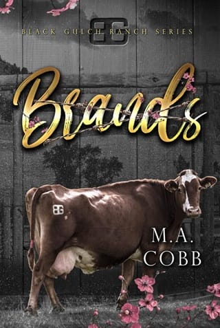 Brands (Black Gulch Ranch #4)