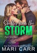 Shelter from the Storm (Perfect Storm #2)