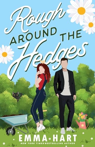 Rough Around the Hedges