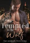 Tempted by the Wolf (Gold Creek Wolves #5)