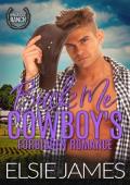 Buck Me (Kingridge Ranch #5)