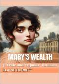 Mary’s Wealth (The Bennets’ Fortune #3)