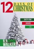 Twelve Days of Christmas (Sixty Five Hours #1.5)