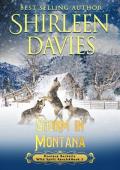 Storm in Montana (Montana Becketts, Wild Spirit Ranch #3)