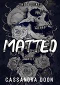 Matteo (The 4 Seats #1)