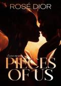 Pieces of Us