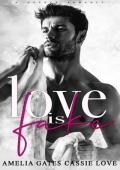 Love is Fake (Love is Everything #1)