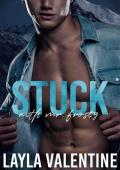 Stuck With Mr. Frosty (Delectable Protectors #5)