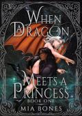 When a Dragon Meets a Princess (Legacy Enchanted #1)