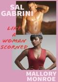 Sal Gabrini: Like a Woman Scorned