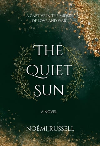 The Quiet Sun