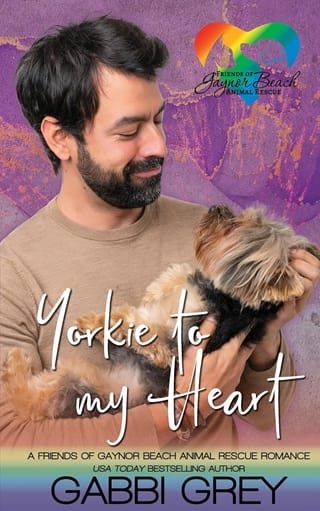 Yorkie to My Heart (Friends of Gaynor Beach Animal Rescue #6)