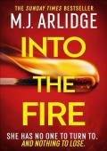 Into the Fire (DI Helen Grace Thriller #13)