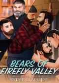 Bears of Firefly Valley: The Reasons Collection (Bears of Firefly Valley Boxed Sets #1)