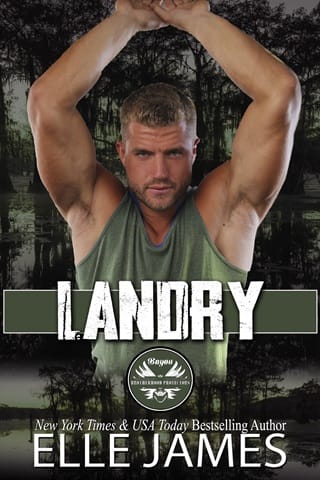 Landry (Bayou Brotherhood Protectors #7)