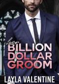 Her Billion Dollar Groom