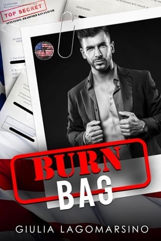 Burn Bag (Owens Protective Services #31)