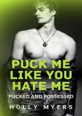 Puck Me Like You Hate Me (Pucked and Possessed #1)