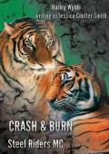 Crash & Burn (Steel Riders MC #2)