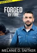 Forged By Fire (Danger in Destiny #9)