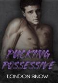 Pucking Possessive (Kings of Castlebrook #2)