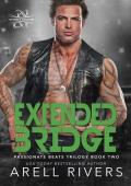 Extended Bridge (Passionate Beats #2)