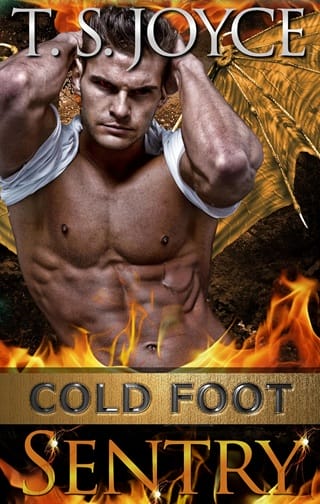 Cold Foot Sentry (Wreck’s Mountains #6)