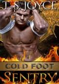 Cold Foot Sentry (Wreck’s Mountains #6)