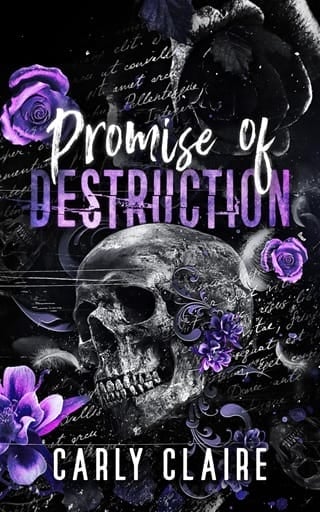 Promise of Destruction (Destruction & Vengeance Duet #1)
