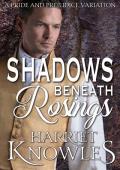 Shadows beneath Rosings (A Darcy and Elizabeth Quick Read Interlude #5)