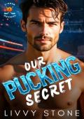 Our Pucking Secret (2-Hour Quickies #4)