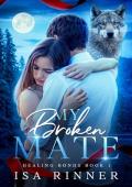 My Broken Mate (Healing Bonds #1)