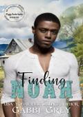 Finding Noah (Foggy Basin Season Two)