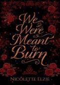 We Were Meant to Burn (Ashes and Ruin Saga #1)