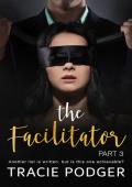 The Facilitator, Part 3