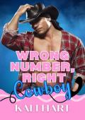 Wrong Number Right Cowboy (Wrong Number, Right Guy #1)