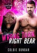 Wrong Turn, Right Bear (Beartastic Summer of Love)