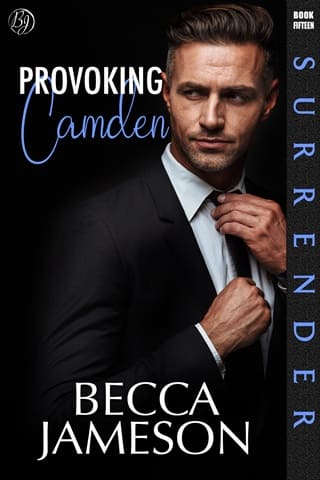 Provoking Camden (Surrender #15)