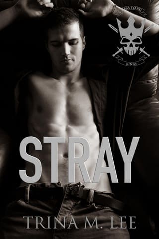 Stray (Graveyard Kings #2)