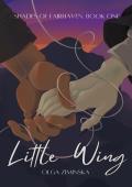 Little Wing (Shades of Fairhaven #1)