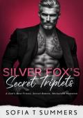 Silver Fox’s Secret Triplets (Billionaire Baby Daddies #6)