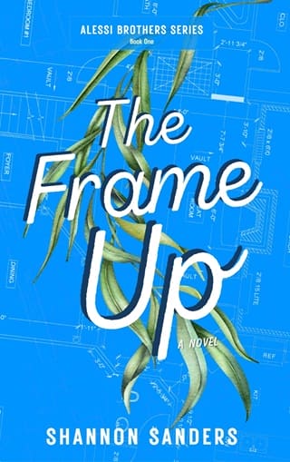 The Frame Up (Alessi Brothers #1)