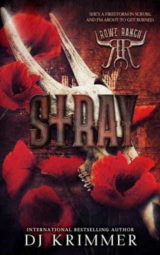 Stray (Rowe Ranch #1)