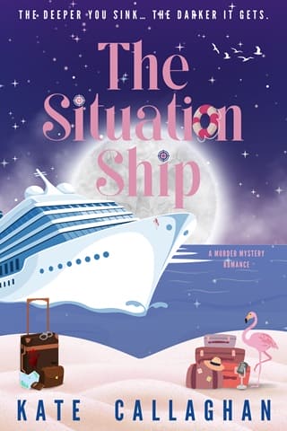 The Situation Ship (Dangerous Harmonies #3)