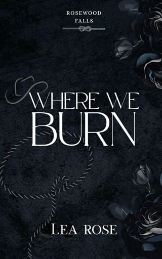 Where We Burn (Rosewood Falls #1)