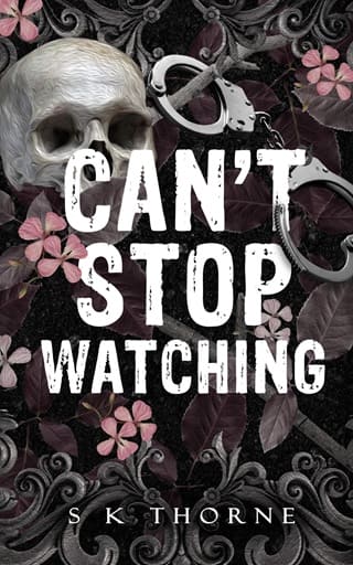 Can’t Stop Watching (Dark Hunters #1)