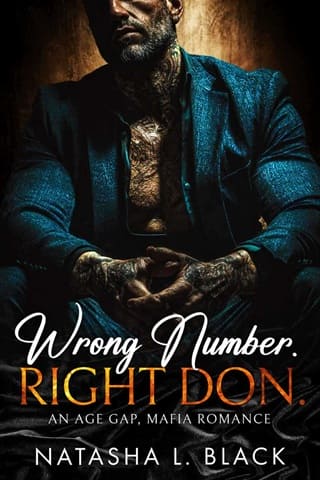 Wrong Number. Right Don. (Sinful Mafia Daddies #1)