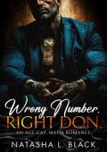 Wrong Number. Right Don. (Sinful Mafia Daddies #1)